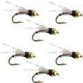 Beadhead Black 3 Dollar Dip Serendipity Nymph - 6 Flies Size 18