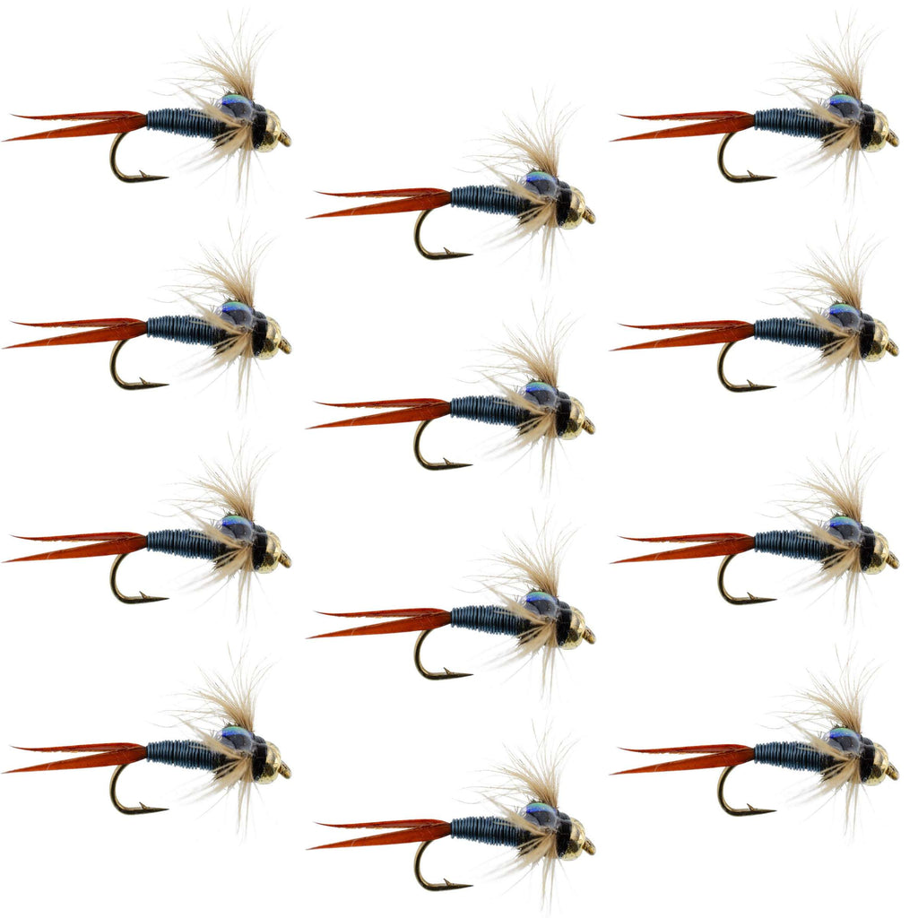 Bead Head Metallic Blue Copper John Nymphe – 1 Dutzend Fliegen – Hakengröße 12