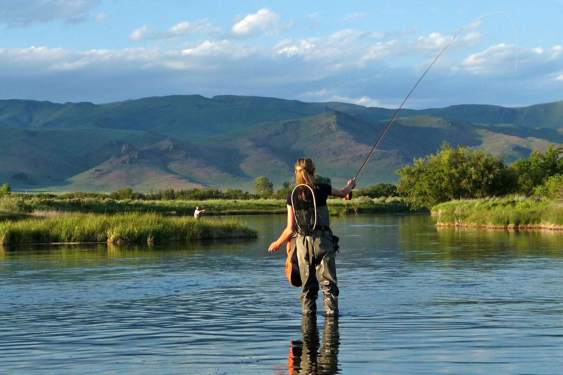 Adams Irresistible Classic Trockenfliege – 1 Dutzend Fliegen Hakengröße 10