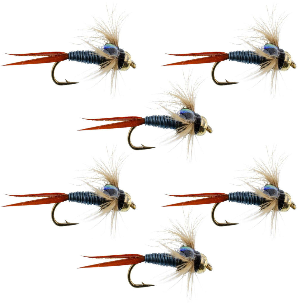 Bead Head Metallic Blue Copper John Nymph – 6 Fliegen zum Fliegenfischen – Hakengröße 14