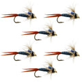 Bead Head Metallic Blue Copper John Nymph – 6 Fliegen zum Fliegenfischen – Hakengröße 14