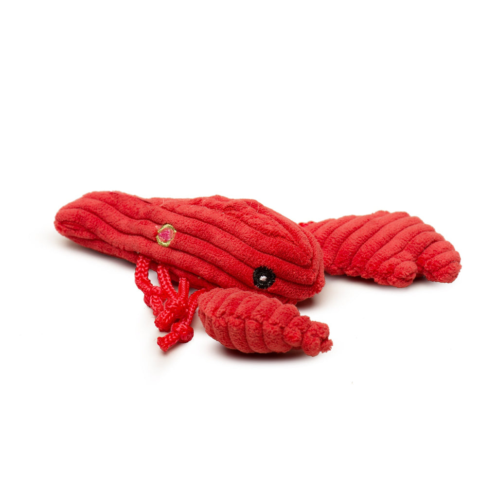 Raw Bar Wee Huggles® Plüsch-Hundespielzeug, 3er-Pack