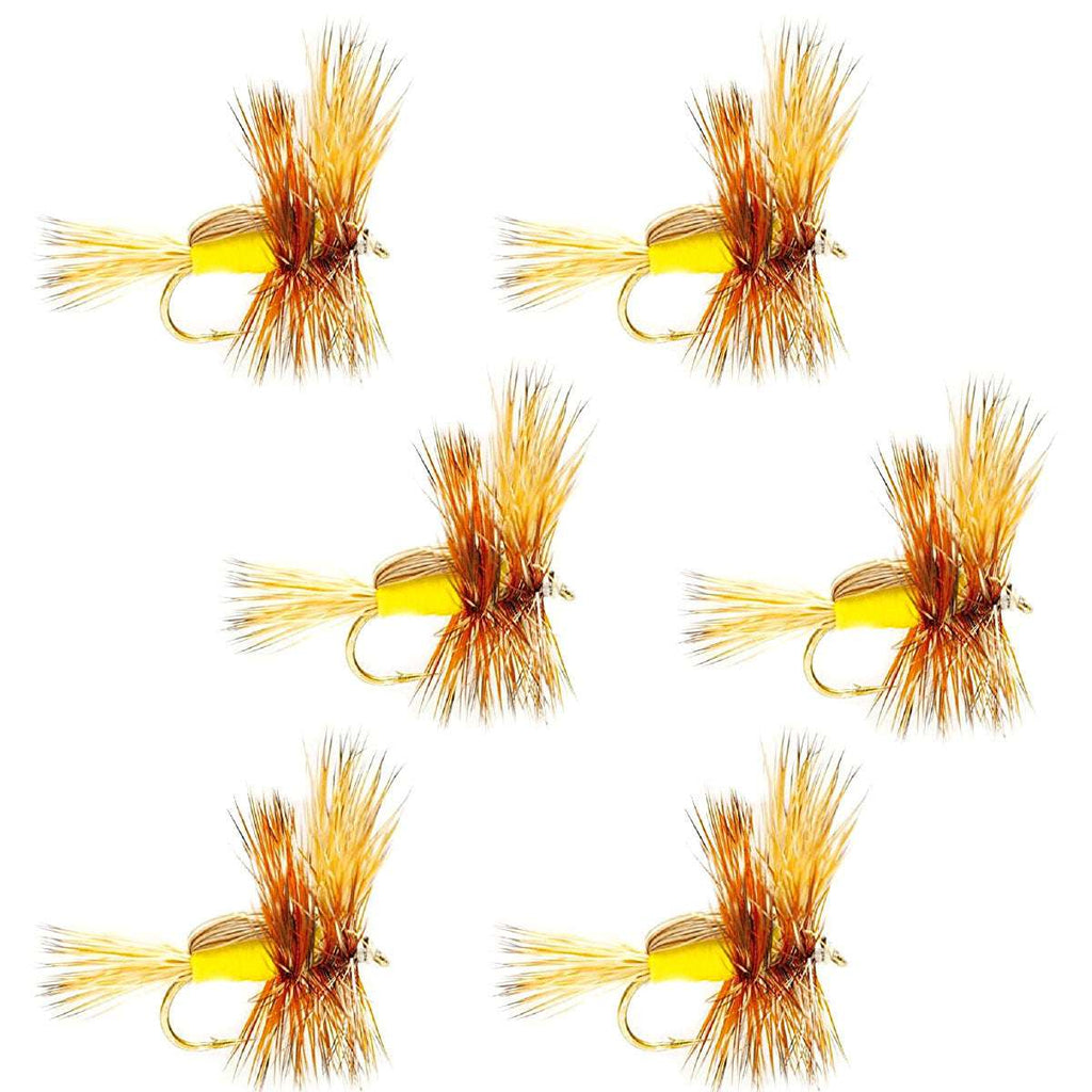 Widerhakenlose gelbe Humpy Classic Hair Wing Trockenfliege – 6 Fliegen Hakengröße 10