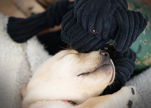 HuggleCause™, Warrior Canine Connection, Black Lab Luke Knottie® Plüsch-Hundespielzeug, Groß
