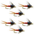 Bead Head Hot Orange Copper John Nymphe – 6 Fliegen zum Fliegenfischen – Hakengröße 12