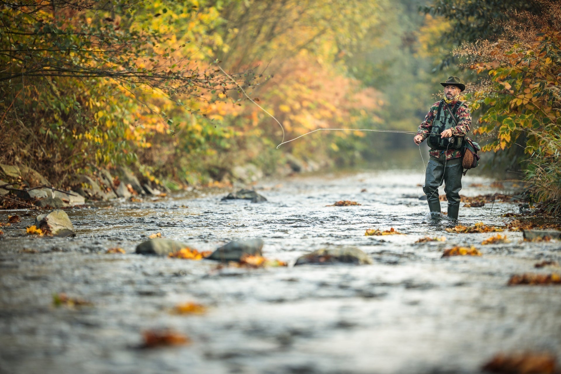 3 Pack Olive Iris Caddis Emerger Caddis  Trout Dry Fly - Hook Size 16