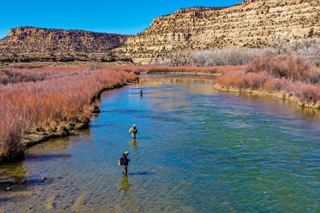 Fat Albert Pink Foam Body Heuschreckenfliege – 6 Fliegen Hakengröße 10