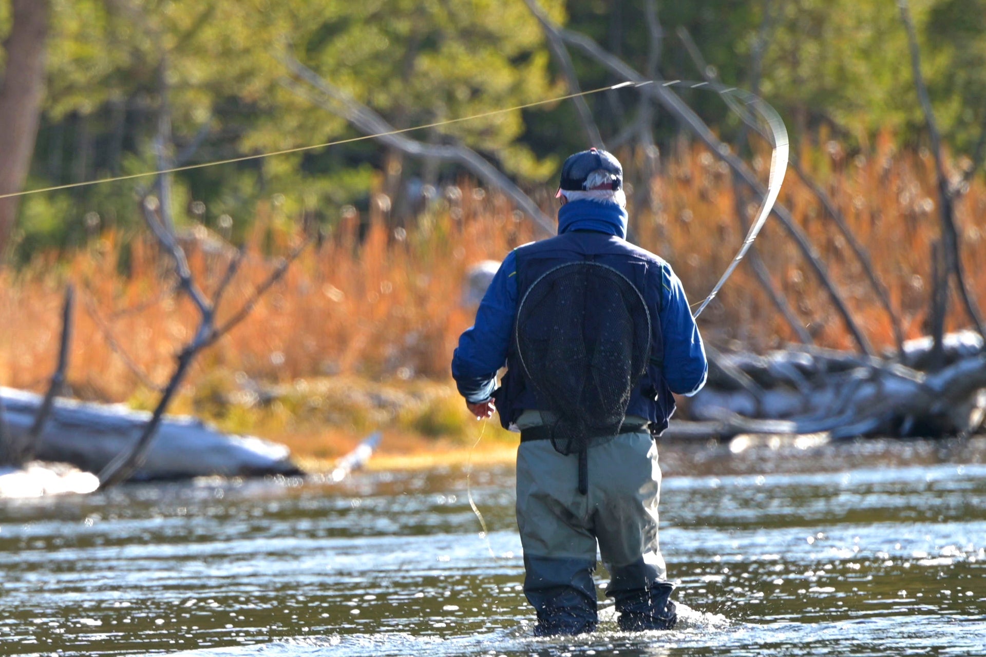 Doppelte Bead-Pfauen-Steinmückenlarve mit bernsteinfarbenen Bioth-Beinen, Fliegen zum Fliegenfischen – Forellen- und Barsch-Nassfliegenmuster – 6 Fliegen, Hakengröße 12