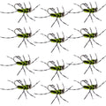 Pat's Rubber Legs Tungsten Jig Black/Chartreuse Euro Nymph 12 Flies Size 6