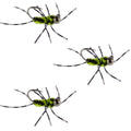 3 Pack Pat's Rubber Legs Tungsten Jig Black/Chartreuse Euro Nymph Size 6