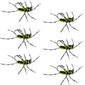 Widerhakenlos Pat's Rubber Legs Tungsten Black/Chartreuse Euro Nymphe 6 Fliegen #6