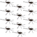 Barbless Pats Rubber Legs Tungsten Coffee/Black Euro Nymph 12 Flies #6