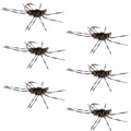Widerhakenlose Pat's Rubber Legs Tungsten Jig Coffee/Black Euro Nymph 6 Fliegen #6