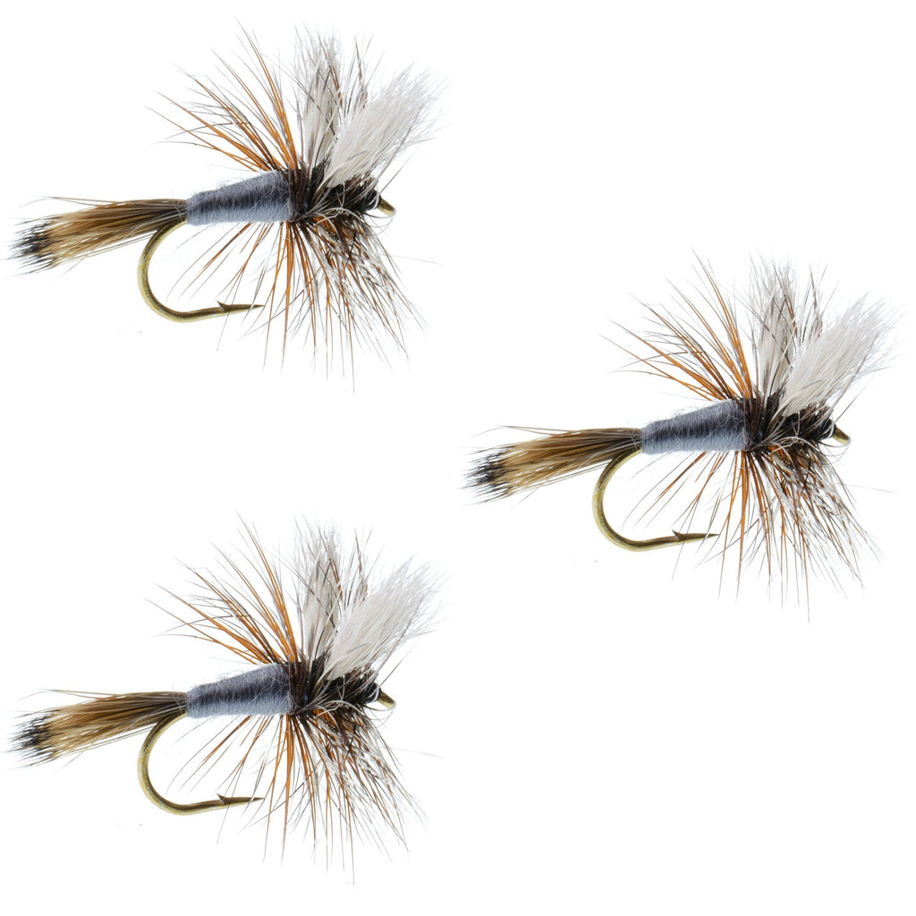 3er-Pack Adams Wulff Classic Trockenfliege – Hakengröße 12