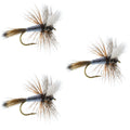 3er-Pack Adams Wulff Classic Trockenfliege – Hakengröße 12