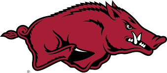 NCAA University of Arkansas, Tusk the Razorback Knottie® Plüsch-Hundespielzeug