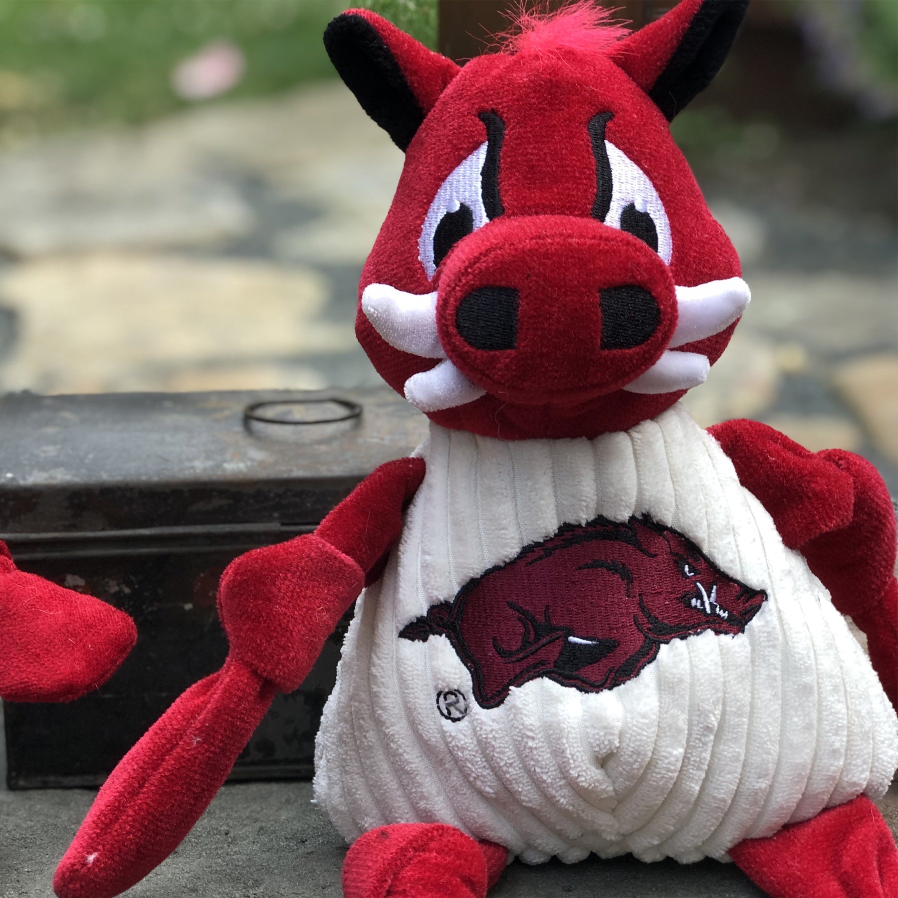 NCAA University of Arkansas, Tusk the Razorback Knottie® Plüsch-Hundespielzeug
