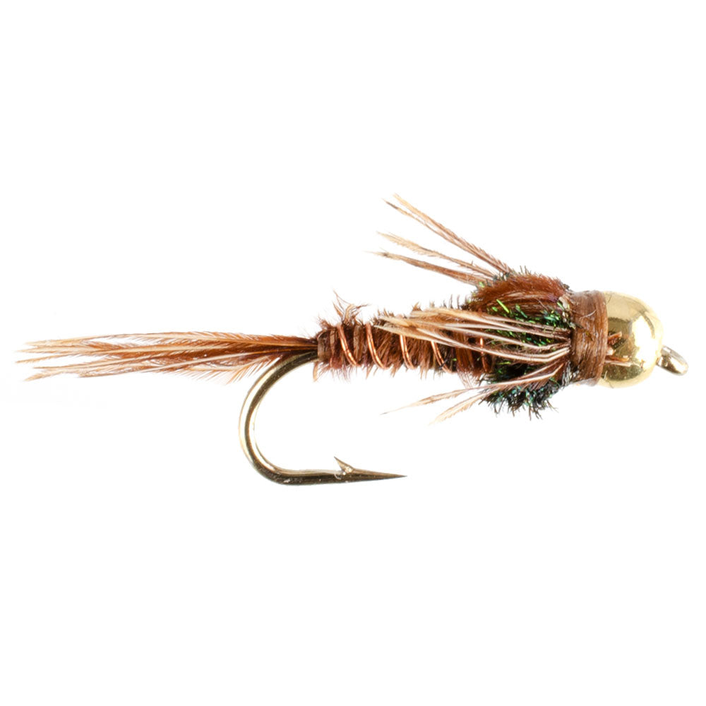 Goldkopf-Fasanenschwanz-Nymphen, 1 Dutzend, zum Fliegenfischen, Hakengröße 16