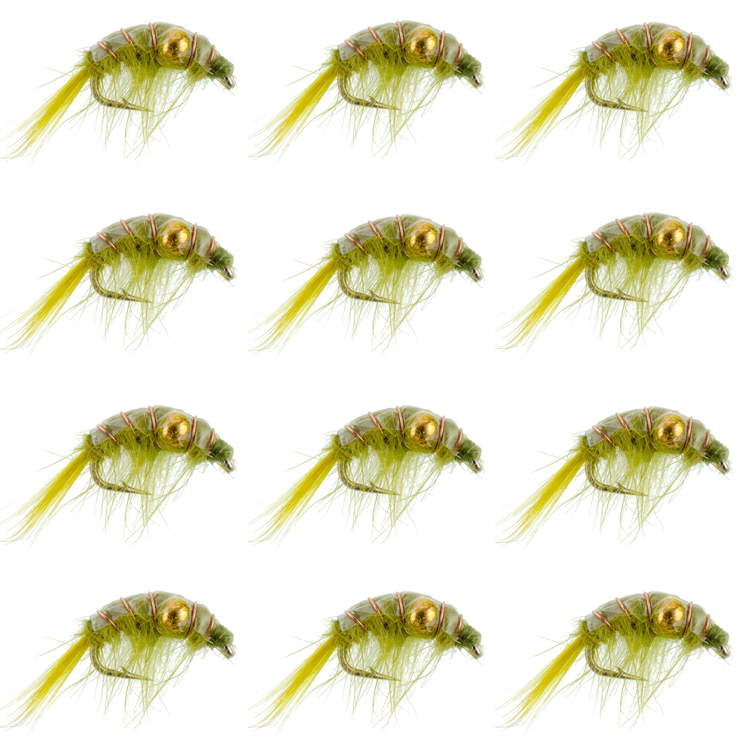 Olive Beaded Shrimp Scud Muster – 1 Dutzend Größe 16 – Tailwater See Fliegenfischen Nymphe