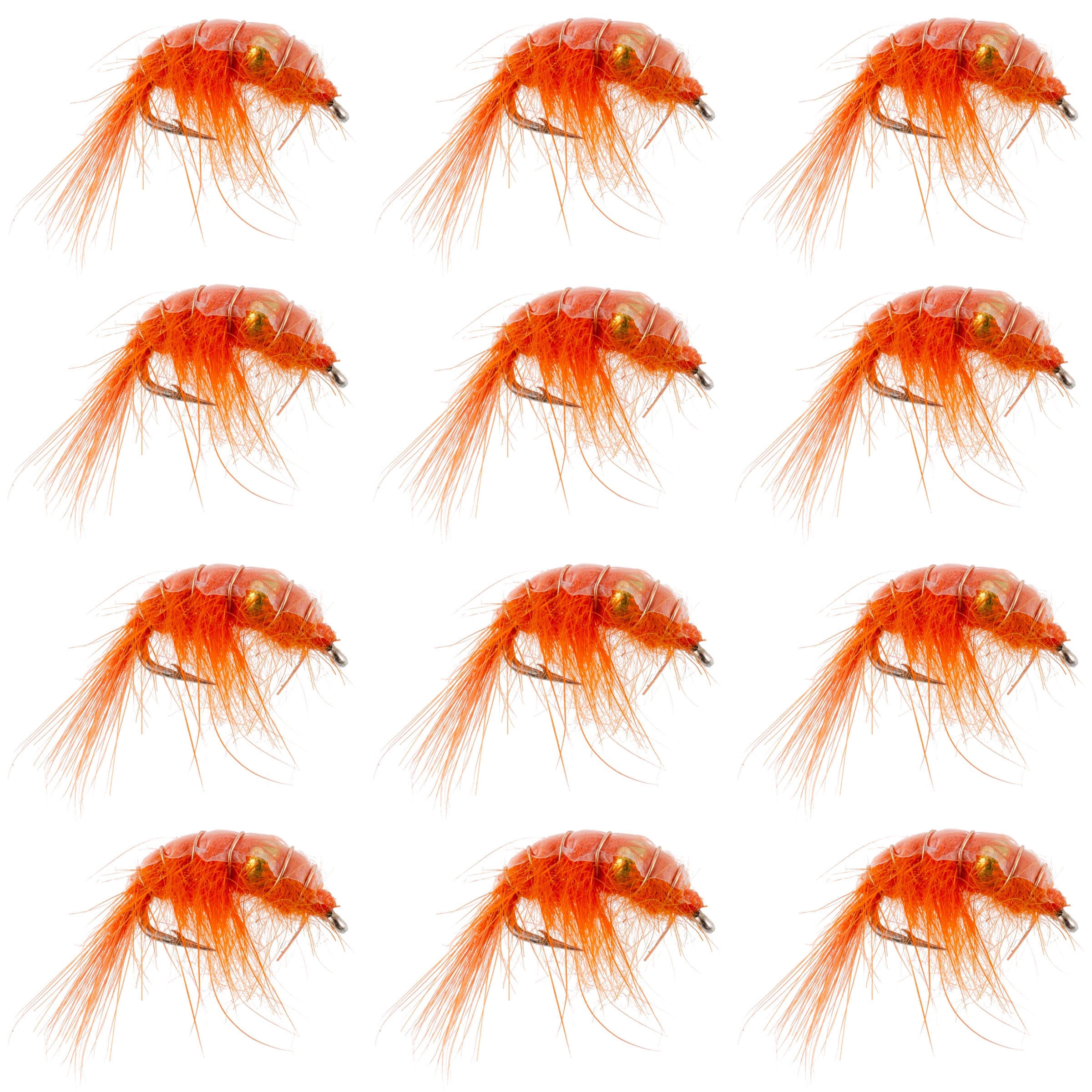 Orange Perlen Shrimp Scud Muster - 1 Dutzend Größe 12 - Tailwater See Fliegenfischen Nymphe