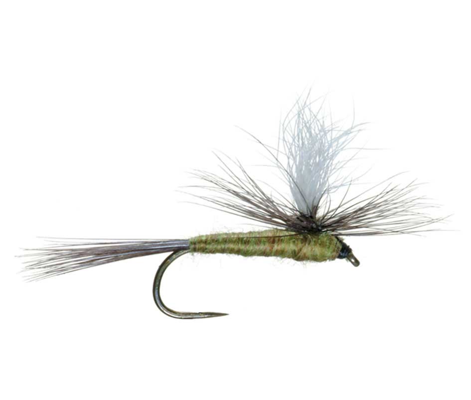 Widerhakenlose Parachute Blue Winged Olive BWO Trockenfliege – 6 Fliegen Größe 18