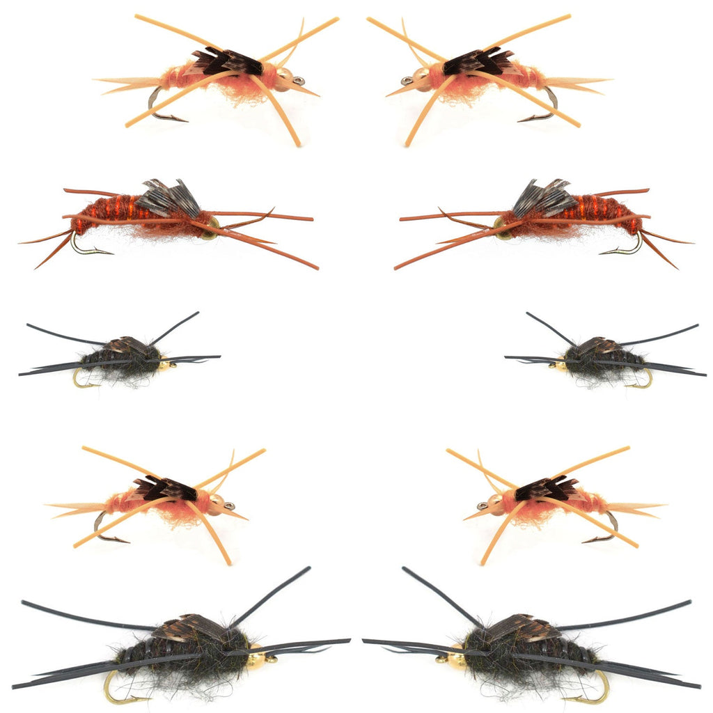 Basics Collection - Kaufmanns Stonefly Assortment - 10 Flies Sizes 4-12