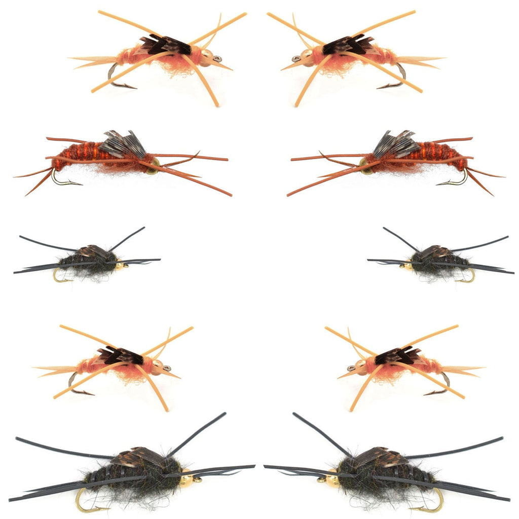Basics Collection - Kaufmann's Tungsten Stonefly Nymphs 10 Flies  #4-12