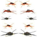 Basics Collection - Kaufmann's Tungsten Stonefly Nymphs 10 Flies  #4-12