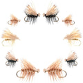 Basics Kollektion - Elk Hair Caddis Sortiment - 10 Fliegen - Größen 12-18