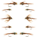 Basics Collection - Beaded Pheasant Tail Nymph Assortment - 10 Flies #14-18