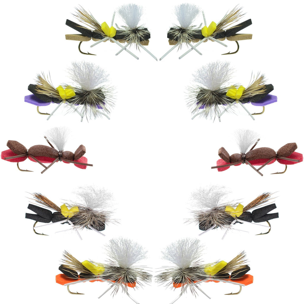 Basics Kollektion - Fallschirm Tschernobyl Ameisen Sortiment - 10 Fliegen Größe 10