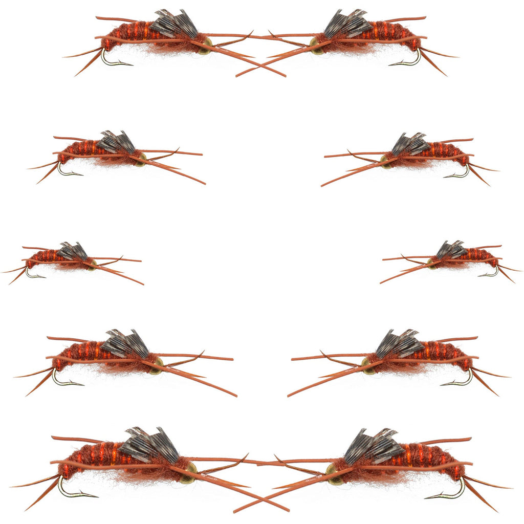 Basics Collection - Kaufmann's Brown Stonefly Kit 10 Flies #Sizes 6-12