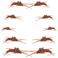 Basics Collection - Kaufmann's Brown Stonefly Kit 10 Flies #Sizes 6-12