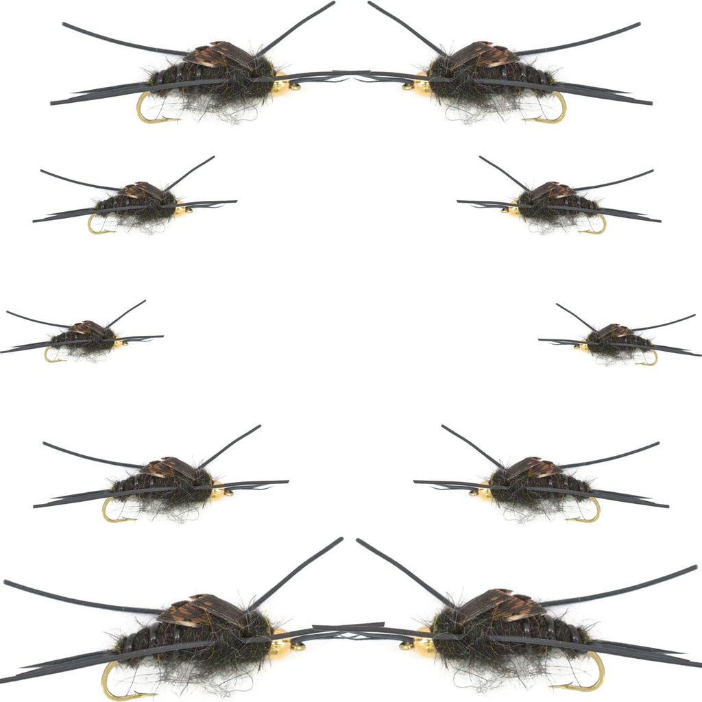 Basics-Kollektion – Kaufmann's Tungsten Black Stonefly Kit 10 Fliegen #4-12
