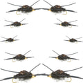 Basics Collection – Kaufmanns Black Stonefly Sortiment – 10 Fliegen #4-12