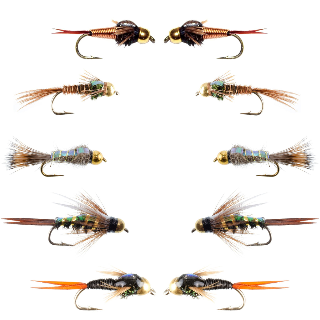 Basics Collection - Copper John - Flash Back Nymph Kit - 10 Flies #10-16