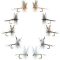 Basics Collection - Classic Dry Fly Assortment - 10 Flies - Sizes 12-16