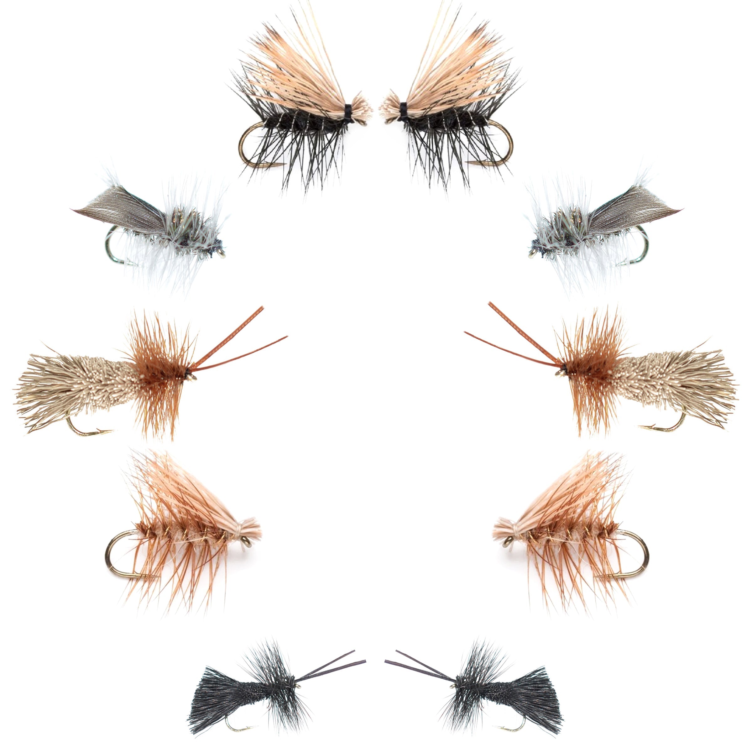 Basics Collection - Caddis Dry Fly Assortment - 10 Flies - Sizes 12-18