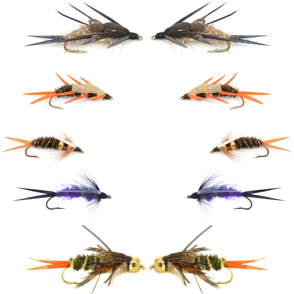 Basics Collection - Double Bead  Nymph Assortment - 10 Flies - Size 10