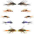 Basics Collection - Double Bead  Nymph Assortment - 10 Flies - Size 10