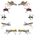 Basics Collection - Terrestrials Fly Assortment - 10 Flies - Sizes 10-14