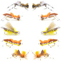 Basics Collection - Foam Hoppers Assortment - 10 Flies - Size 10