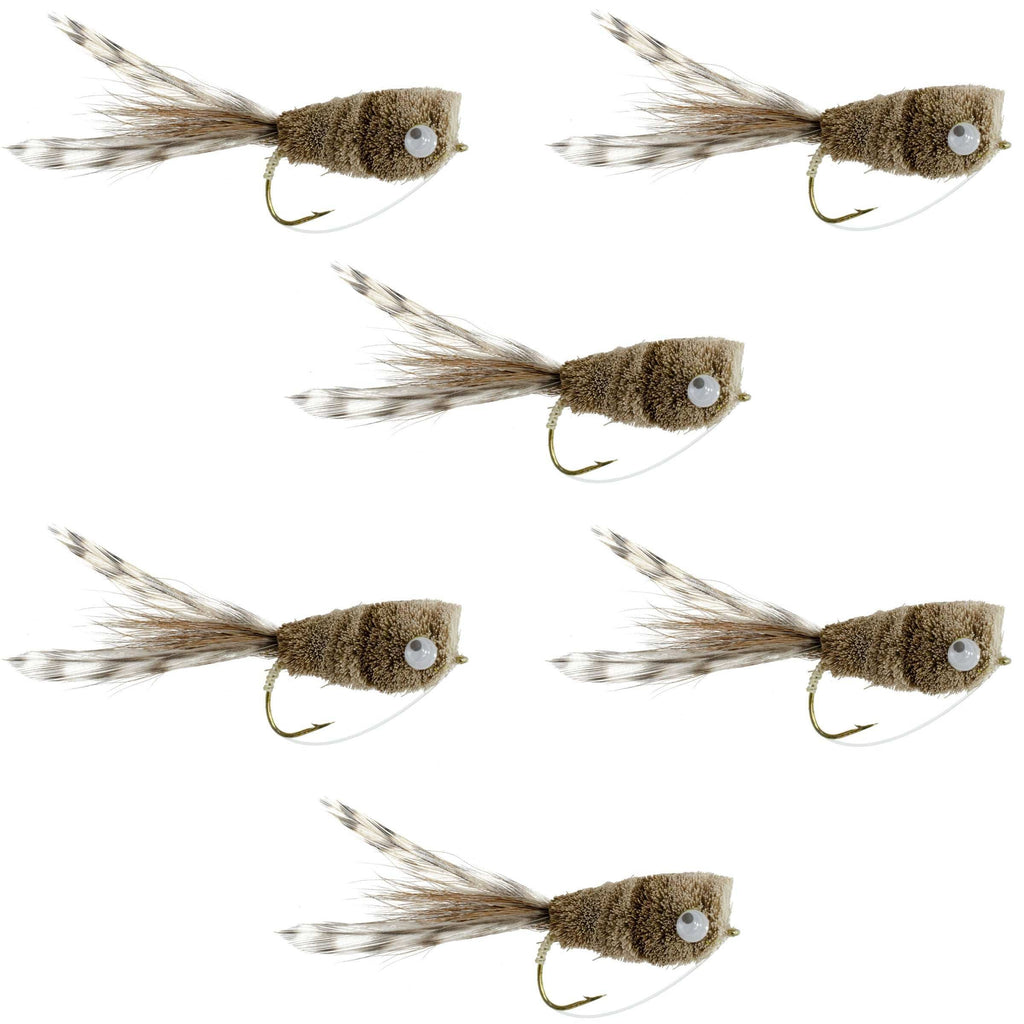 Natürliche Hirschhaare und Grizzly Bass Popper 6 Fliegen Hakengröße 8 Bass Fliegenfischen Bug Wide Gape Bass Haken mit Krautschutz