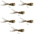 Natürliche Hirschhaare und Grizzly Bass Popper 6 Fliegen Hakengröße 8 Bass Fliegenfischen Bug Wide Gape Bass Haken mit Krautschutz
