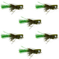 Flashtail Bass Popper 6 Fliegen Größe 8 – Olive Bassfliege Angelköder mit Weitbogenhaken und Krautschutz