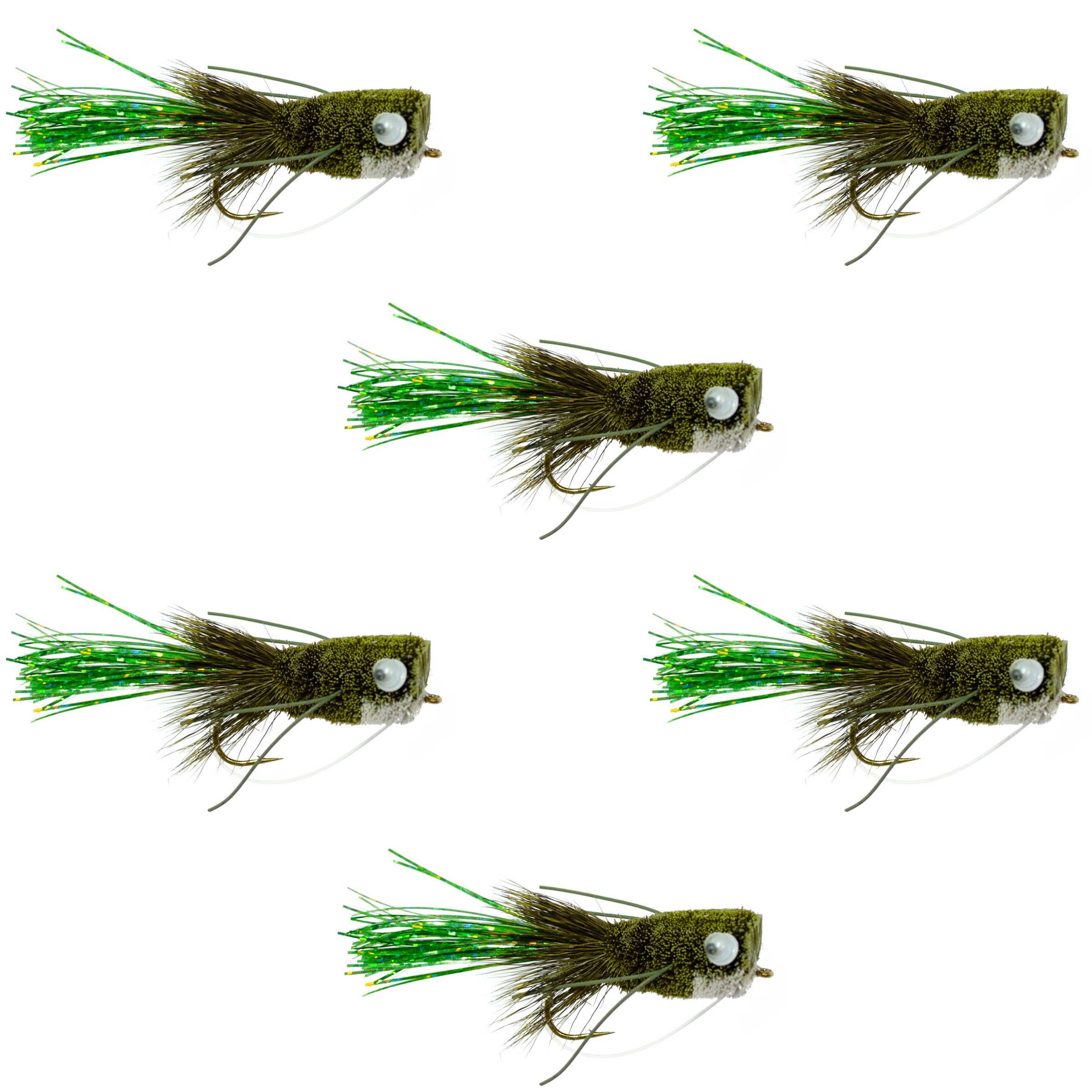 Flashtail Bass Popper 6 Fliegen Größe 8 – Olive Bassfliege Angelköder mit Weitbogenhaken und Krautschutz