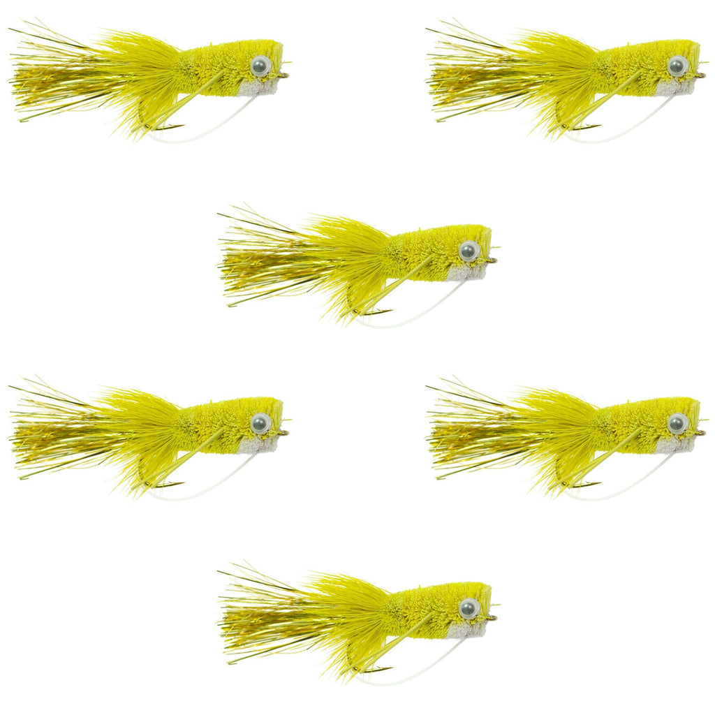 Flashtail Bass Popper 6 Fliegen Größe 8 - Gelbe Bassfliege Angelköder Wide Gape Basshaken mit Krautschutz