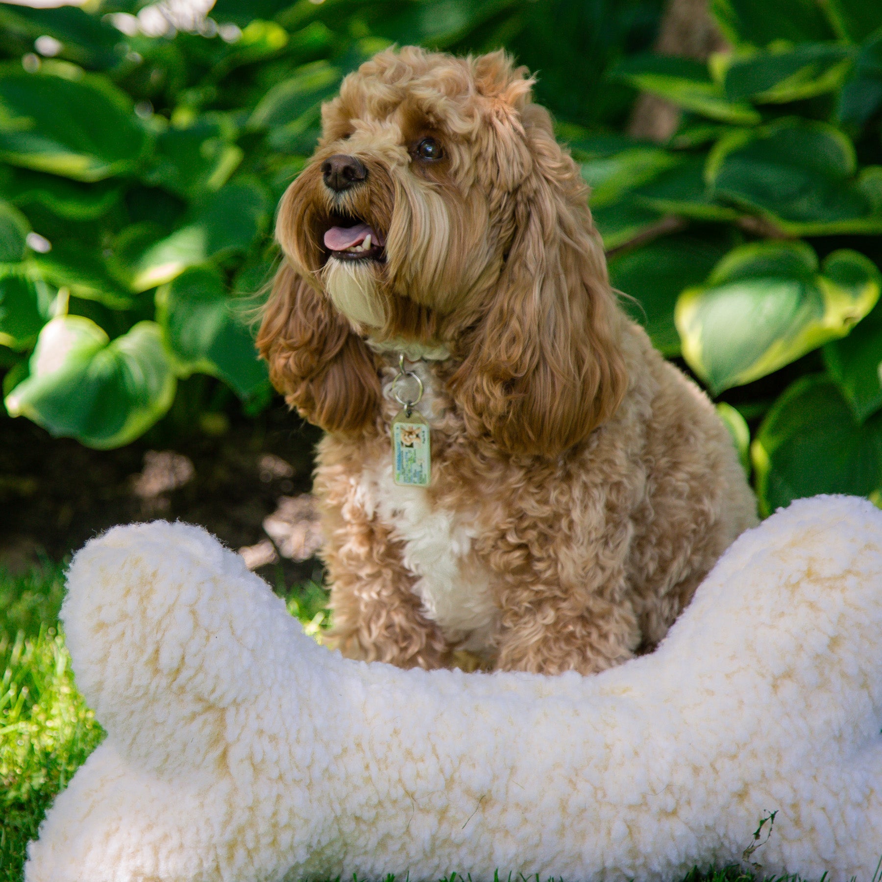 HuggleFleece® 2' Plüsch-Knochen-Hundespielzeug