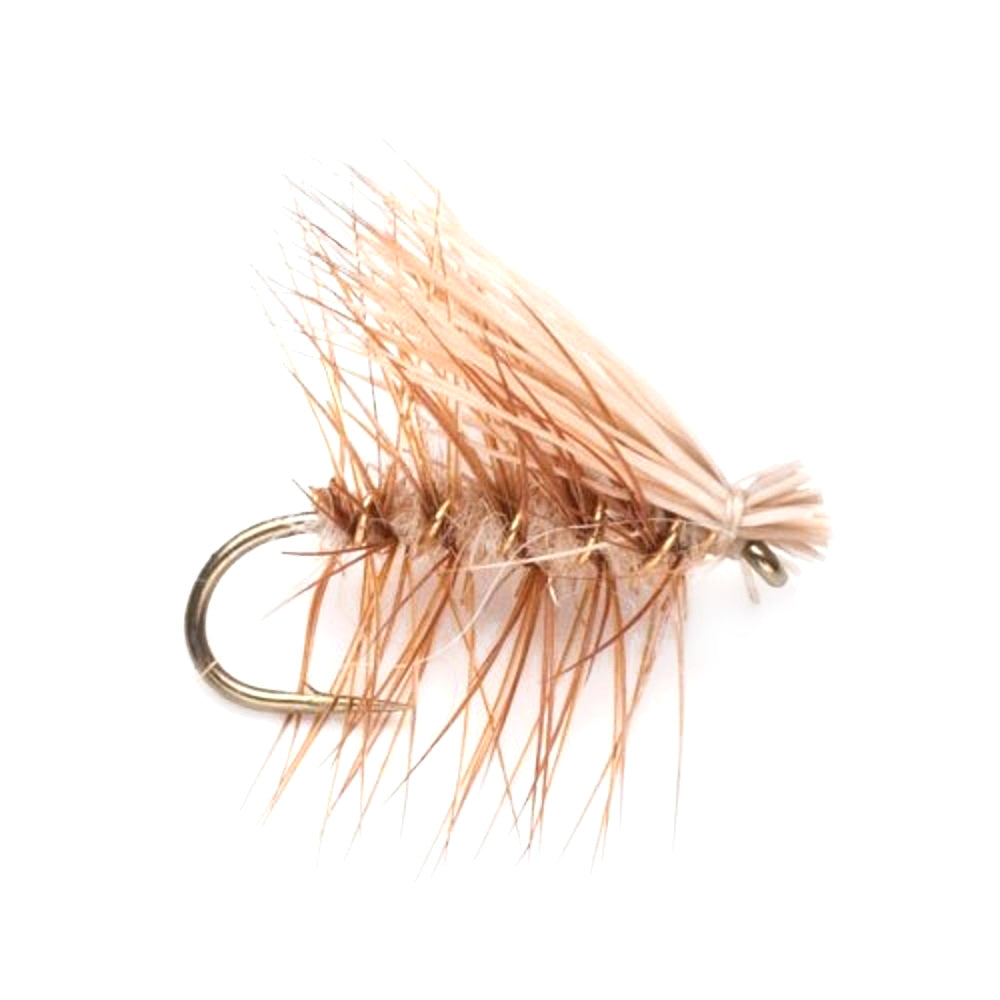 Tan Elk Hair Caddis Classic Trout Trockenfliege – 6er Set Fliegen Größe 12