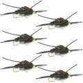 Wolfram-Kopf Kaufmann's Black Stone Fly mit Gummibeinen - Steinfliegen-Nassfliege - 6 Fliegen Hakengröße 8